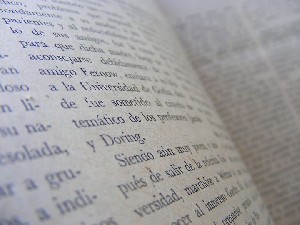 biblioteca 233 copy.jpg